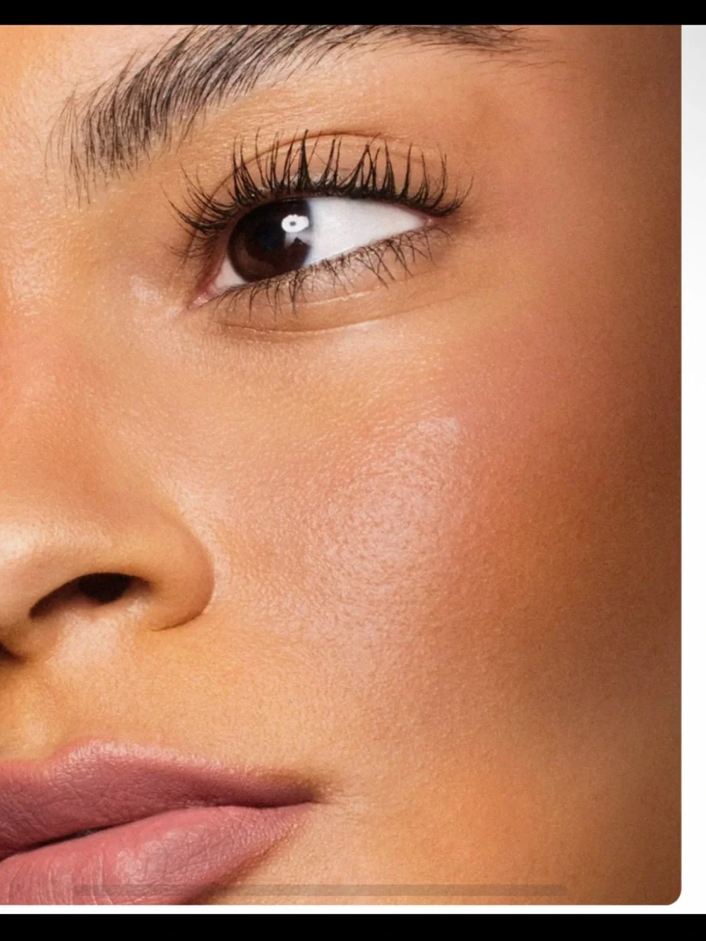 New Queen Musia Voyage Nostalgique soft sunlight Bronzer